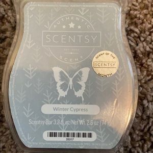 Winter Cypress Scentsy bars (9)